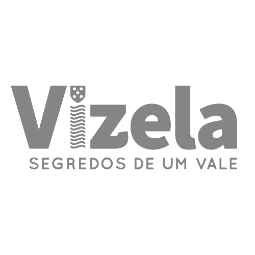 Município de Vizela