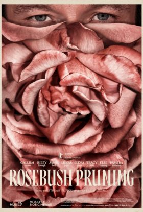 Rosebush Pruning