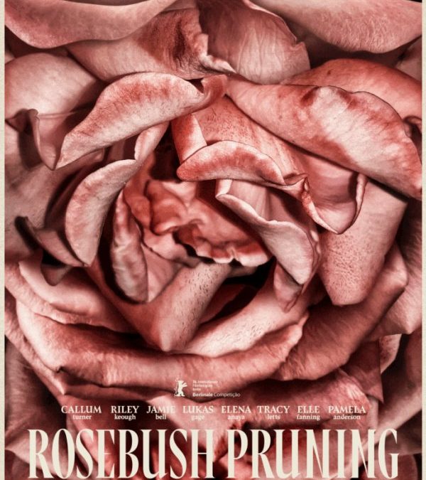 Rosebush Pruning